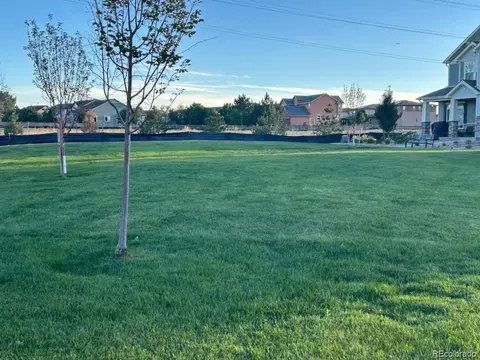 17960 E 103rd Ave, Commerce City, CO 80022 photo 24
