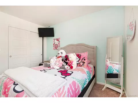 17960 E 103rd Ave, Commerce City, CO 80022 photo 14