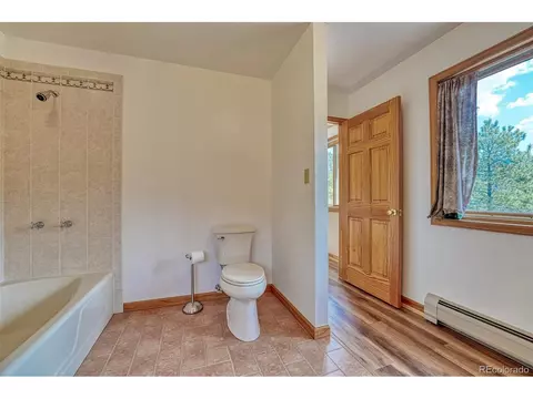 16753 Jefferson St, Pine, CO 80470 photo 10