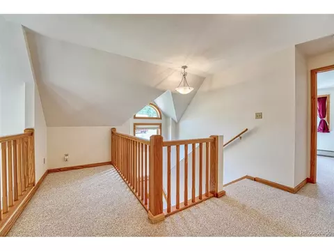 16753 Jefferson St, Pine, CO 80470 photo 17