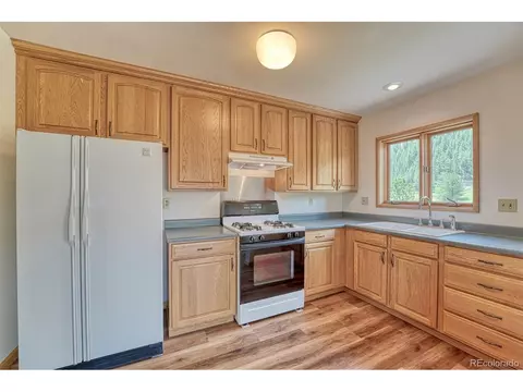 16753 Jefferson St, Pine, CO 80470 photo 8