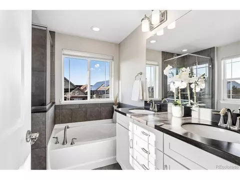 Bath - 11003 E 28th Pl, Denver, CO 80238 photo 2 of 4