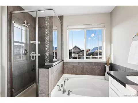 Bath - 11003 E 28th Pl, Denver, CO 80238 photo 3 of 4
