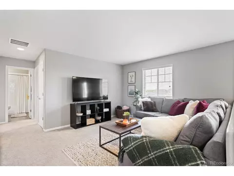 4190 E 96th Pl, Thornton, CO 80229 photo 16