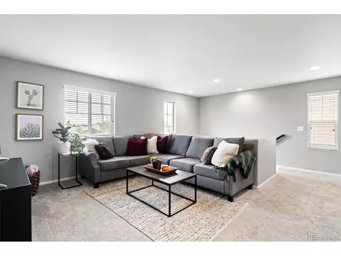 4190 E 96th Pl, Thornton, CO 80229 photo 15
