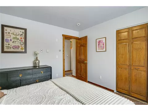 Undisclosed, Alma, CO 80420 photo 33