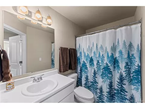 Bath - 8139 Henzlee Pl, Peyton, CO 80831 photo 3 of 3