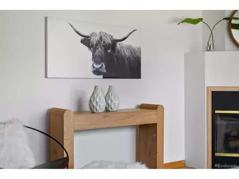Other - 2575 S Birch St, Denver, CO 80222 photo 3 of 8