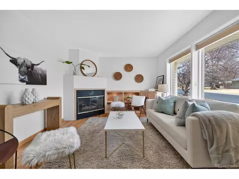 Living - 2575 S Birch St, Denver, CO 80222 photo 3 of 4