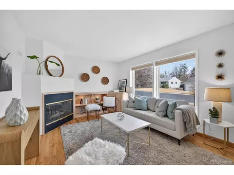 Living - 2575 S Birch St, Denver, CO 80222 photo 4 of 4