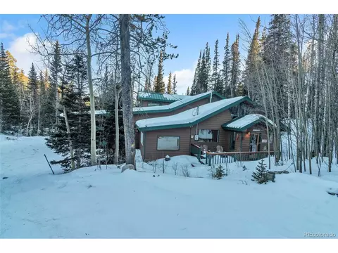 96 Pratt Pl, Alma, CO 80420
