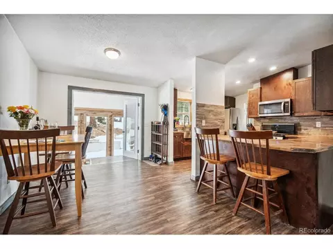1096 S Pine Dr, Bailey, CO 80421 photo 6