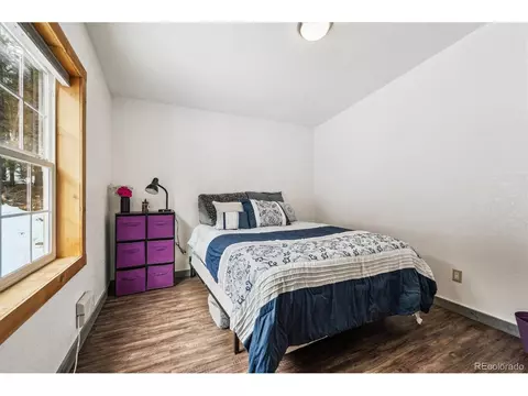 1096 S Pine Dr, Bailey, CO 80421 photo 16