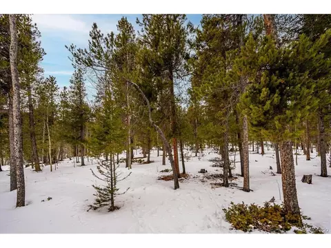 1096 S Pine Dr, Bailey, CO 80421 photo 25