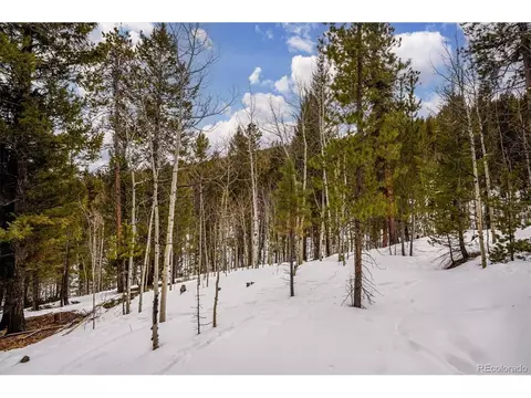 1096 S Pine Dr, Bailey, CO 80421 photo 24