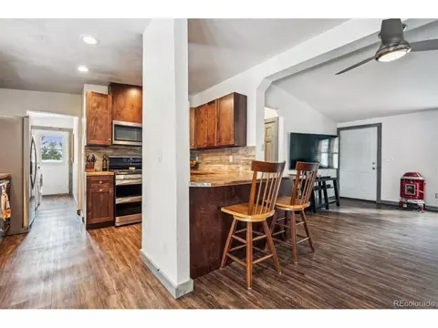 1096 S Pine Dr, Bailey, CO 80421 photo 5