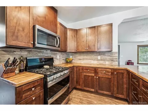 1096 S Pine Dr, Bailey, CO 80421 photo 3
