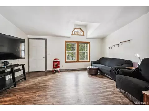 1096 S Pine Dr, Bailey, CO 80421 photo 9