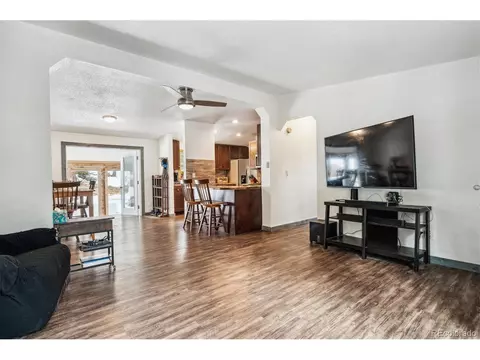 1096 S Pine Dr, Bailey, CO 80421 photo 7