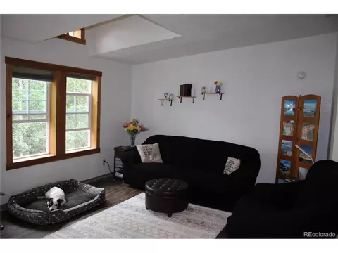 1096 S Pine Dr, Bailey, CO 80421 photo 10
