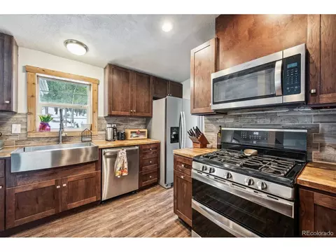 1096 S Pine Dr, Bailey, CO 80421 photo 4