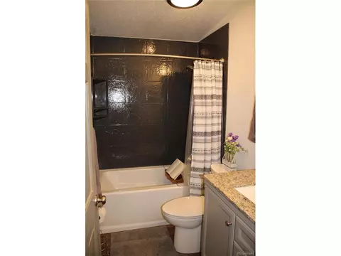 1096 S Pine Dr, Bailey, CO 80421 photo 18