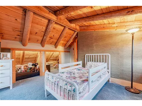 9670 S Warhawk Rd, Conifer, CO 80433 photo 17