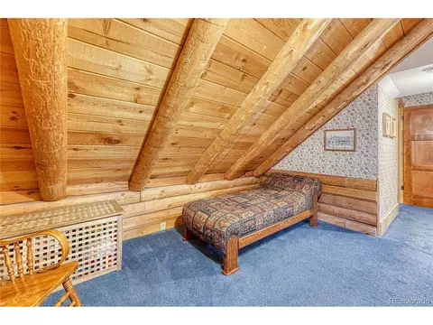 9670 S Warhawk Rd, Conifer, CO 80433 photo 15