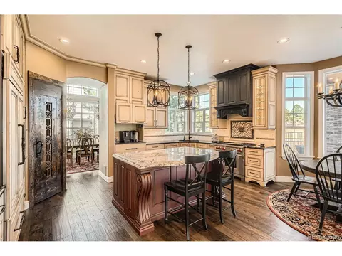 10040 Longview Dr, Lone Tree, CO 80124 photo 12