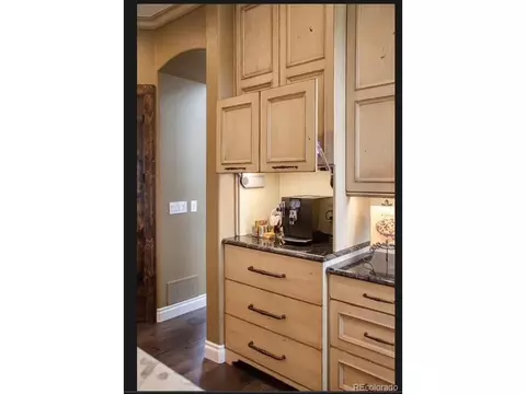 10040 Longview Dr, Lone Tree, CO 80124 photo 18