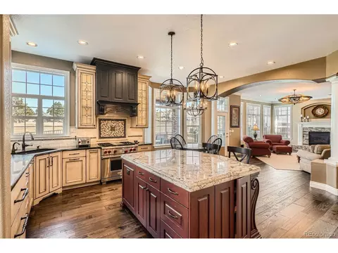 10040 Longview Dr, Lone Tree, CO 80124 photo 15