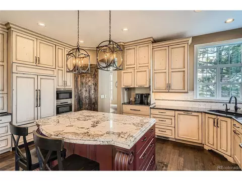 10040 Longview Dr, Lone Tree, CO 80124 photo 13