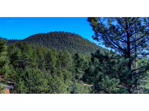 15349 Ouray Rd, Pine, CO 80470 photo 24