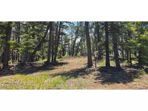 5546 Balleroy Rd, Fort Garland, CO 81133