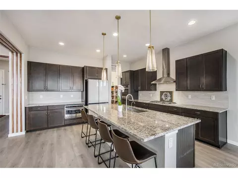 3018 Blithe Pt, Castle Rock, CO 80108 photo 13