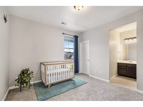 3018 Blithe Pt, Castle Rock, CO 80108 photo 22