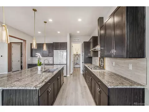 3018 Blithe Pt, Castle Rock, CO 80108 photo 14