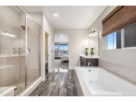 3018 Blithe Pt, Castle Rock, CO 80108 photo 18