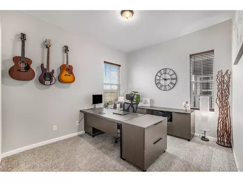 3018 Blithe Pt, Castle Rock, CO 80108 photo 11