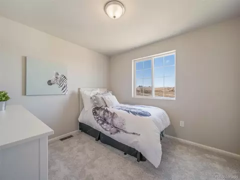 46597 Sunflower Ln, Bennett, CO 80102 photo 22