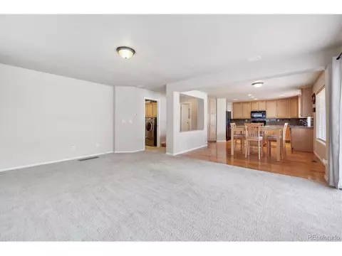 21317 E 53rd Pl, Denver, CO 80249 photo 16