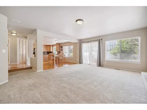21317 E 53rd Pl, Denver, CO 80249 photo 15