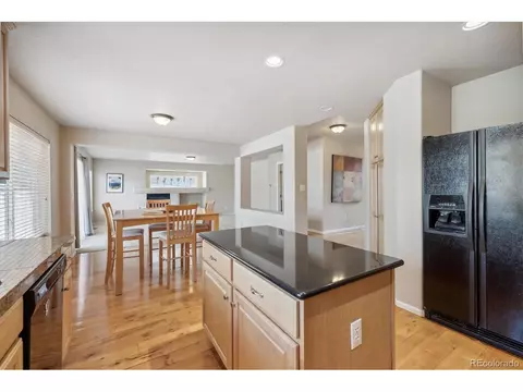 21317 E 53rd Pl, Denver, CO 80249 photo 13