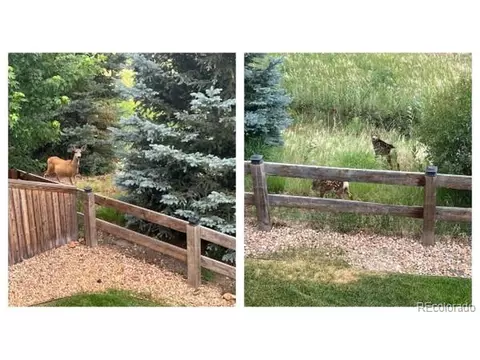 24642 E Whitaker Dr, Aurora, CO 80016 photo 29