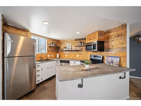 4206 S Eldridge St #309, Morrison, CO 80465 photo 8