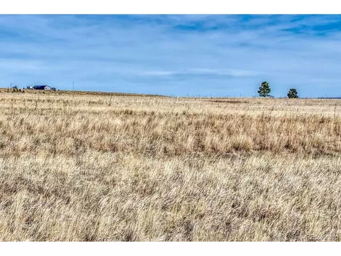 14820 Tiboria Loop, Peyton, CO 80831 photo 19