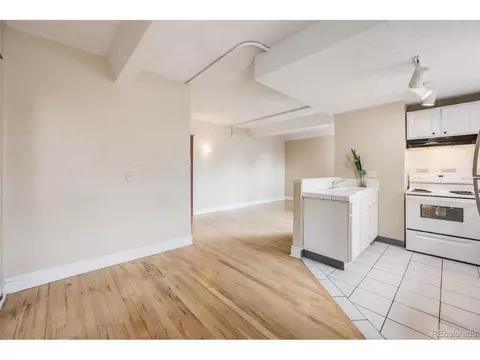 215 E 11th Ave #C3, Denver, CO 80203 photo 9