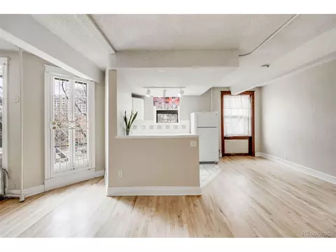 215 E 11th Ave #C3, Denver, CO 80203 photo 10