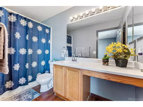 21498 E 38th Pl, Denver, CO 80249 photo 17