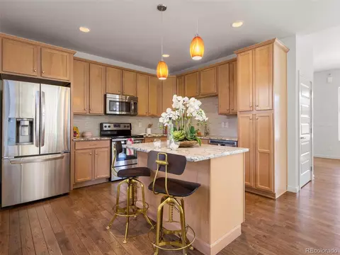 10130 Belvedere Loop, Lone Tree, CO 80124 photo 8